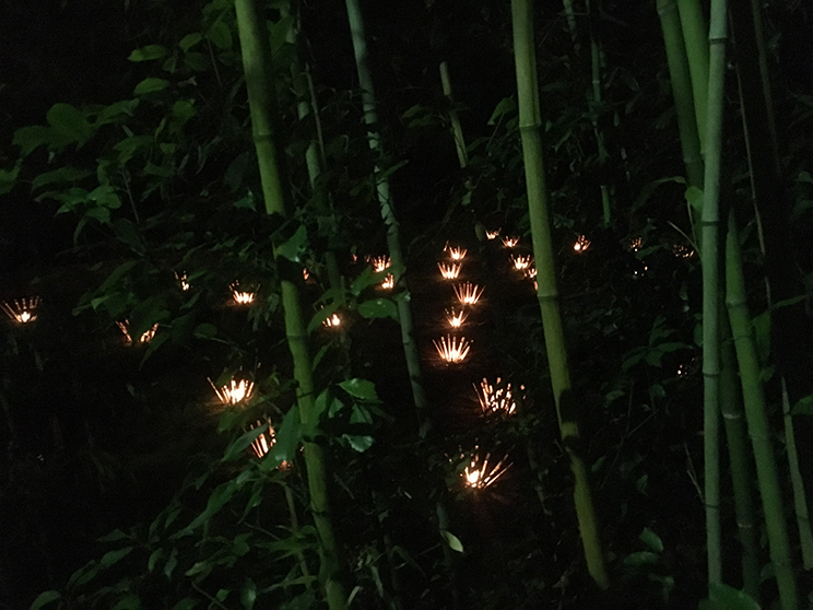 16takeakari6